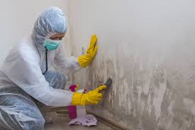 Best Forensic Mold Investigation  in Esperance, WA